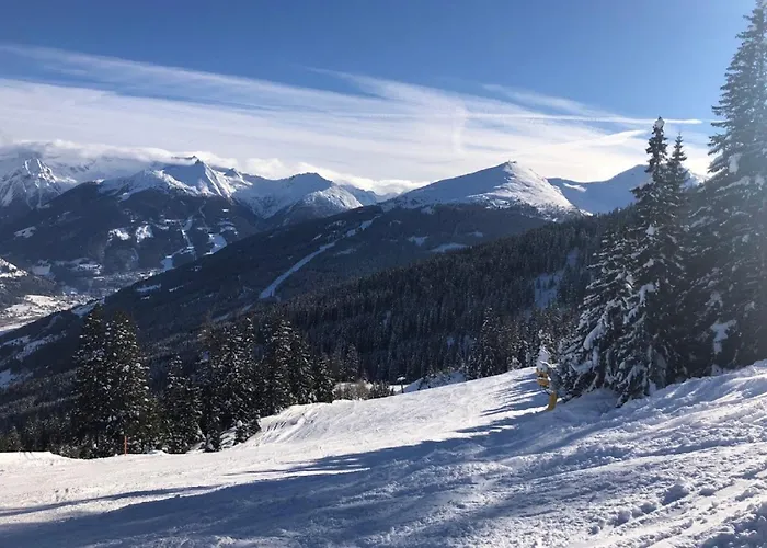 Susis By Interhome Apartmán